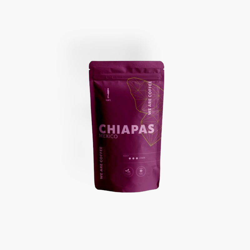 chiapas-mexico